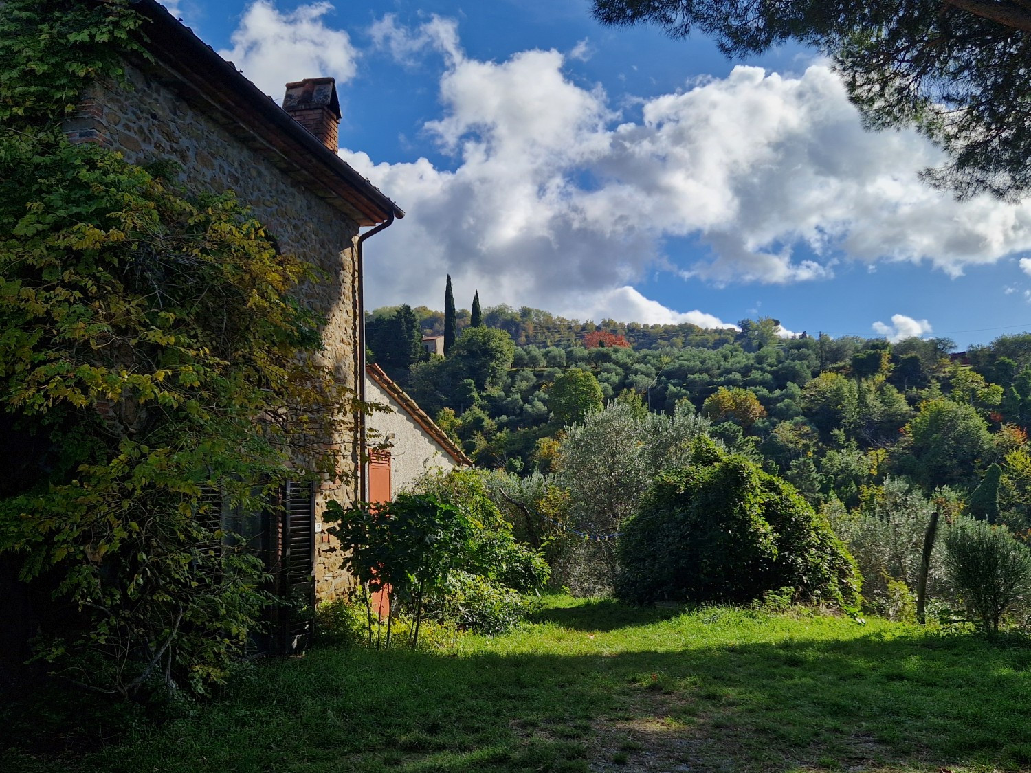 Außenbereich mit Natur